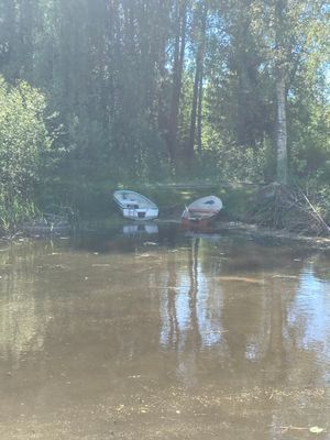 Hyr denna stuga i  på 30 m². 2-4 sängplatser. Från 5 600 kr per vecka. Se bilder och tillgänglighet här.