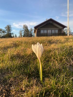 Helt ny stuga med havsutsikt
