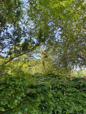 Härligt stort hus för flera familjer nära stranden - Bild 28