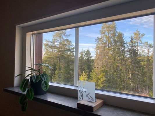 Helt ny stuga med havsutsikt - Bild 14