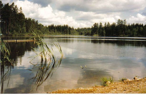 Tingsryd, nära till ädelfiske. Båt finns. - Bild 16