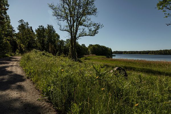 Lugna vägar för promader, cykling eller löpning