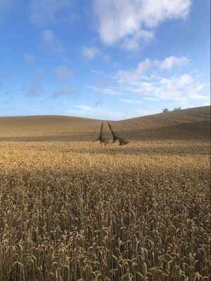 Villa Lindskog - Bild 27