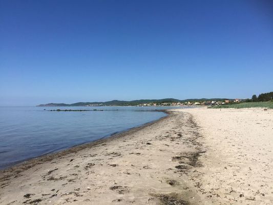 Soligt boende i Kullabygden nära strand och natur - Bild 16