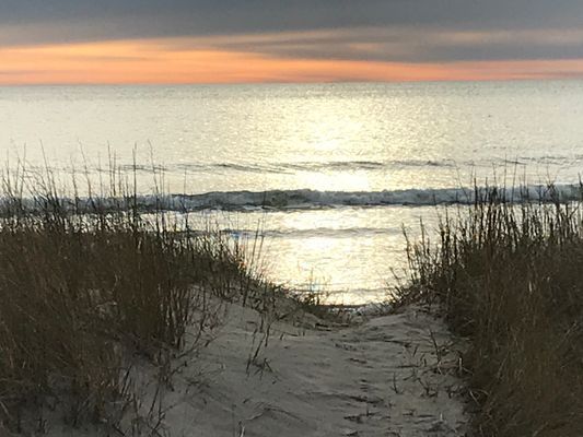 Underbara Fårö, 800 m från Sudersand stranden - Bild 10