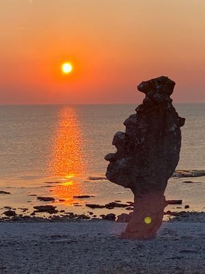 Underbara Fårö, 800 m från Sudersand stranden - Bild 8