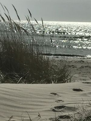 Underbara Fårö, 800 m från Sudersand stranden - Bild 9