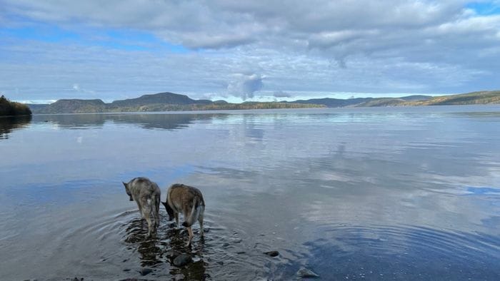 Vid fjorden