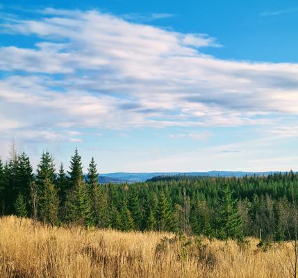 Paradis mitt i Sverige - Bild 9