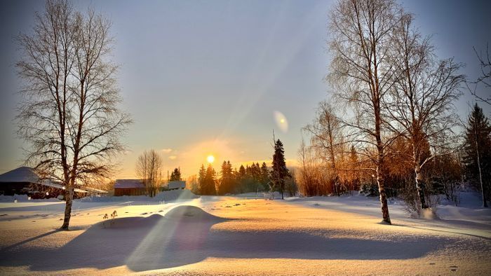 Unikt 1800-tals timmerhus med vedeldad bastu - Bild 36