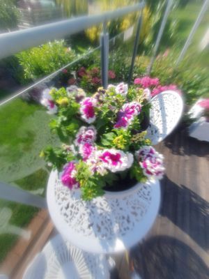 Falkenberg Olofsbo Havsbad - Bild 16