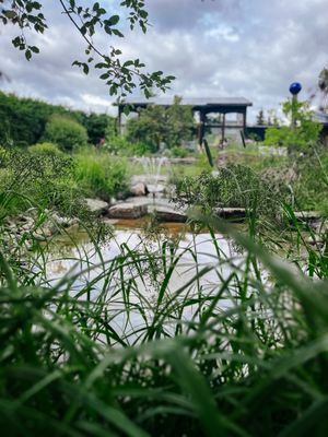 Privat Glamping & Spa i Naturen  . upp till 10P - Bild 32