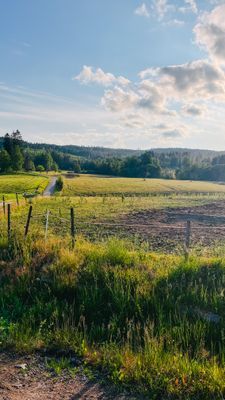 Privat Glamping & Spa i Naturen  . upp till 10P - Bild 48