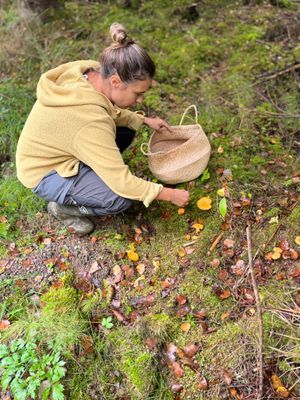 Privat Glamping & Spa i Naturen  . upp till 10P - Bild 50