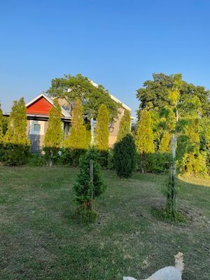 9 min Gnisvärd,Tofta. Nära Visby & djurpark - Bild 20