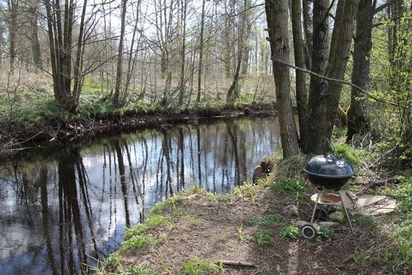 Stuga,  4 bäddar nära äventyrspark i södra Halland - Bild 32