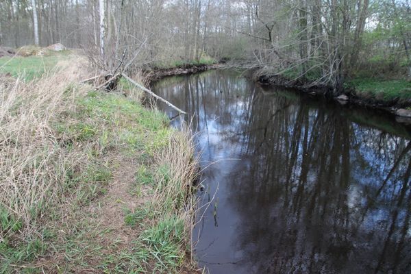 Stuga,  4 bäddar nära äventyrspark i södra Halland - Bild 29