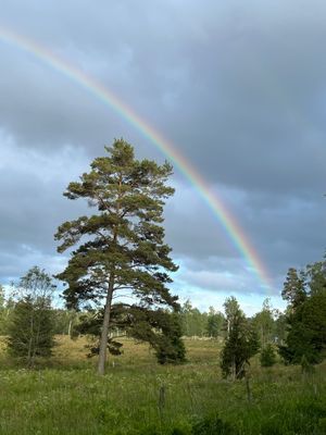 Smålandsvilla - Bild 25