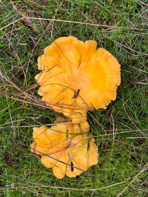 Smålandsvilla - Bild 33