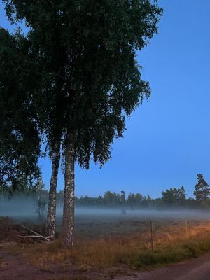 Smålandsvilla - Bild 34