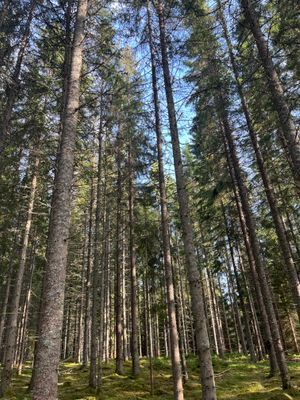 Smålandsvilla - Bild 36