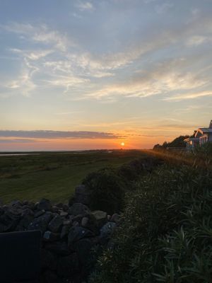 Första parkett mot havet och strandängarna - Bild 32
