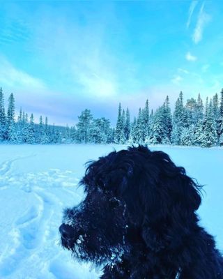 Nybyggt lofthus 15 min från Åre Björnen - Bild 51