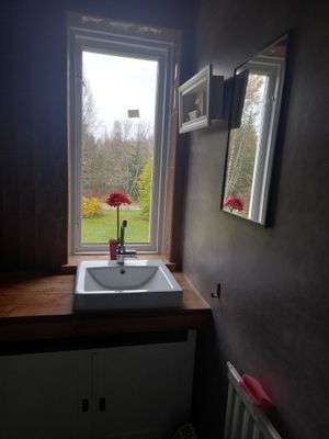 Hundvänligt hus nära sjön, inhägnat Värmland - Bild 21