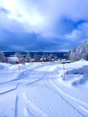 Unik fjällgård i Åkersjön med magisk utsikt - Bild 21