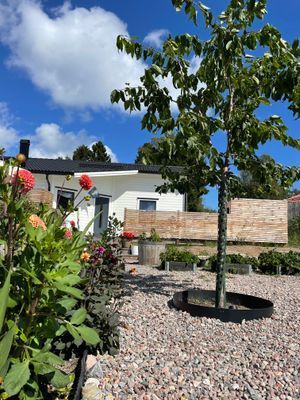 Tokers hus - Bild 12