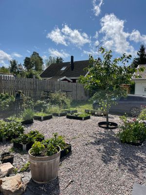Tokers hus - Bild 19