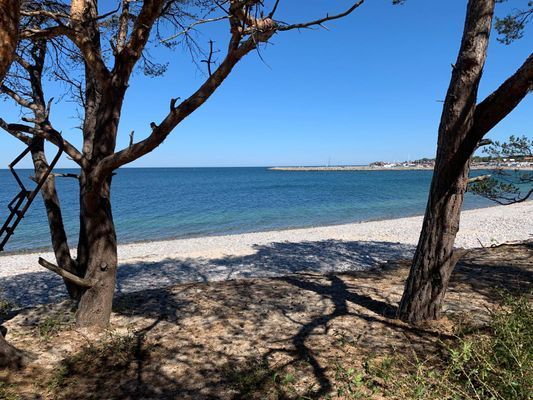 "Lilla Solhem" charmig stuga 150m från havet - Bild 21