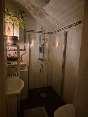 Mysig stuga precis vid sjön - Bild 8