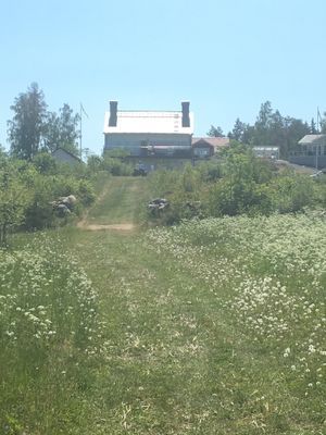 Exklusivt boende med egen brygga och strand - Bild 59