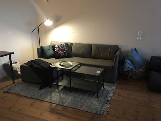 Exklusivt boende med egen brygga och strand - Bild 13