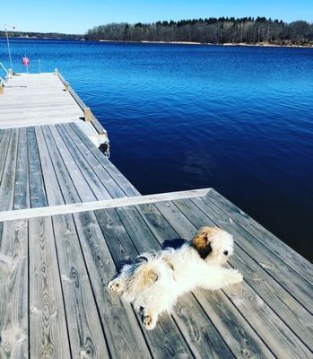 Exklusivt boende med egen brygga och strand - Bild 21
