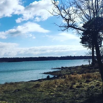 Exklusivt boende med egen brygga och strand - Bild 46