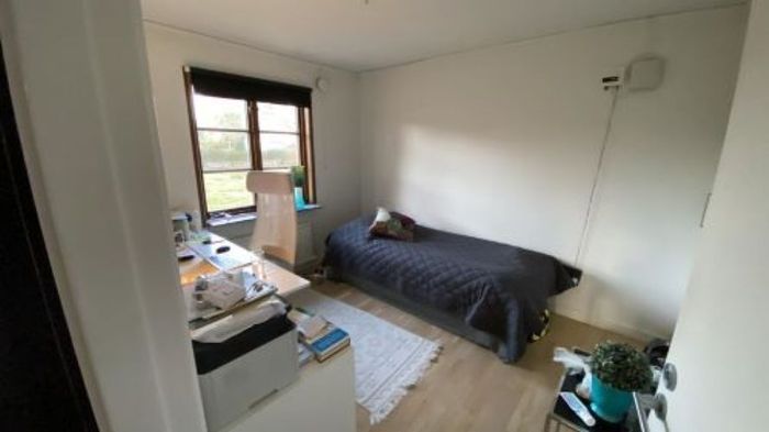 Midsommar, Kräftskiva eller Jul i Falsterbo? - Bild 10