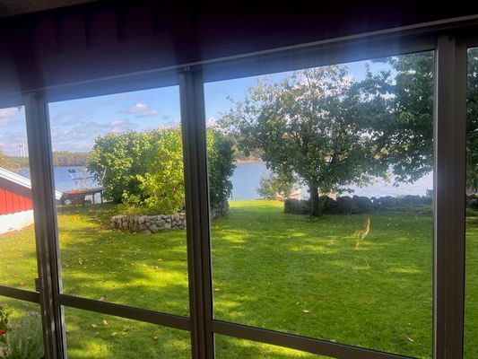 Stuga med båt och brygga på Tjörn | SE09170 - Bild 8