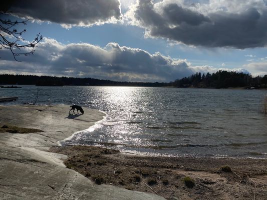 Mysig sommarstuga på Värmdö – sjönära