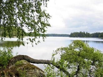 Hyr denna stuga i Tingsryd på 120 m². 8 sängplatser. 6 500 - 8 900 kr per vecka. Se bilder och tillgänglighet här.