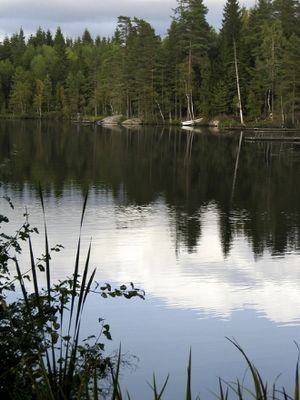Tingsryd, nära till ädelfiske. Båt finns. - Bild 13