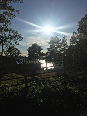 Emmesviken - Sjöstuga med egen vik, bastuflotte. - Bild 24
