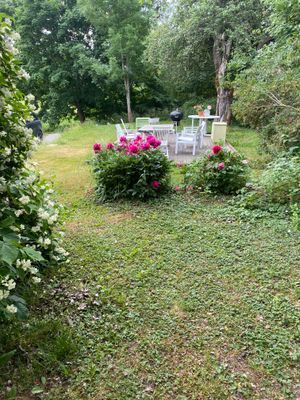 Grillning bland blomster i lugn lantlig torpar miljö.