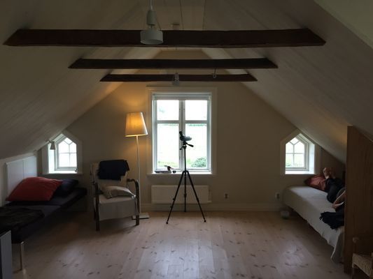 SÖDRA ÖLAND - Bild 10