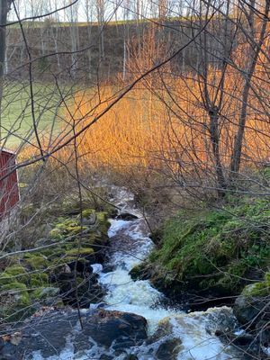 Stuga/Torp 6 km norr om Gränna - Bild 31