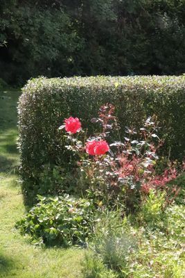 Theas hus på Österlen - Bild 51