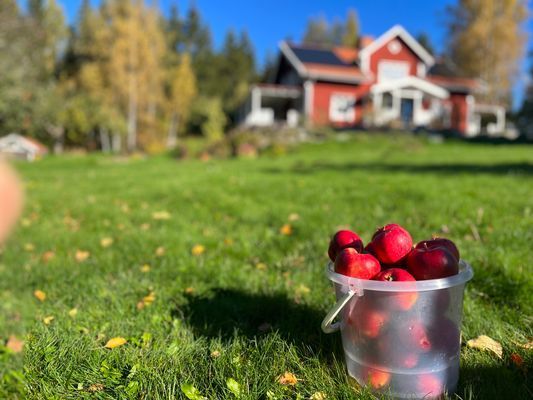 Hus från 1850 med pool och bastu - Bild 7