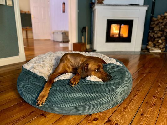 Hus från 1850 med pool och bastu - Bild 25