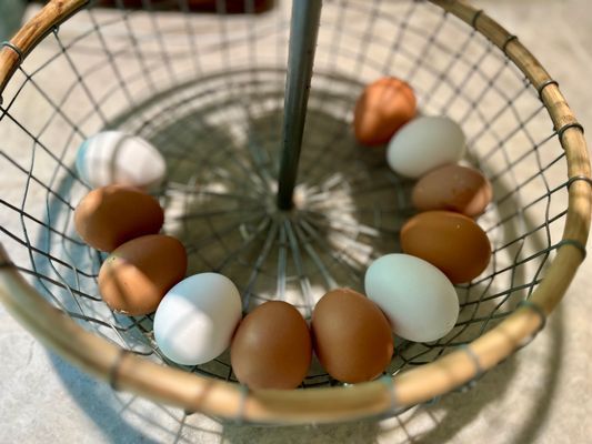 Hus från 1850 med pool och bastu - Bild 6